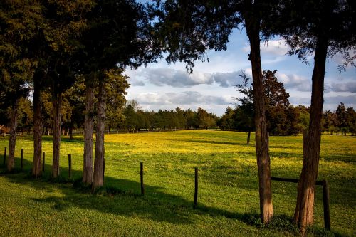 alabama farm meadow