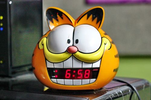 alarm clock cat