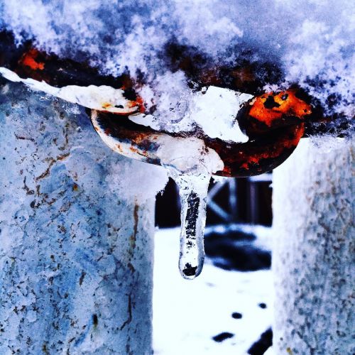 alaska barn cold