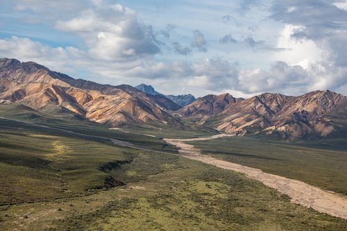 alaska  denali  national park