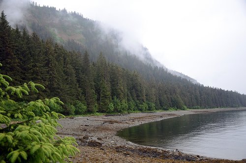 alaska  shoreline  landscape