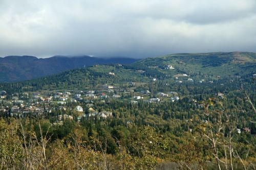 alaska anchorage forest