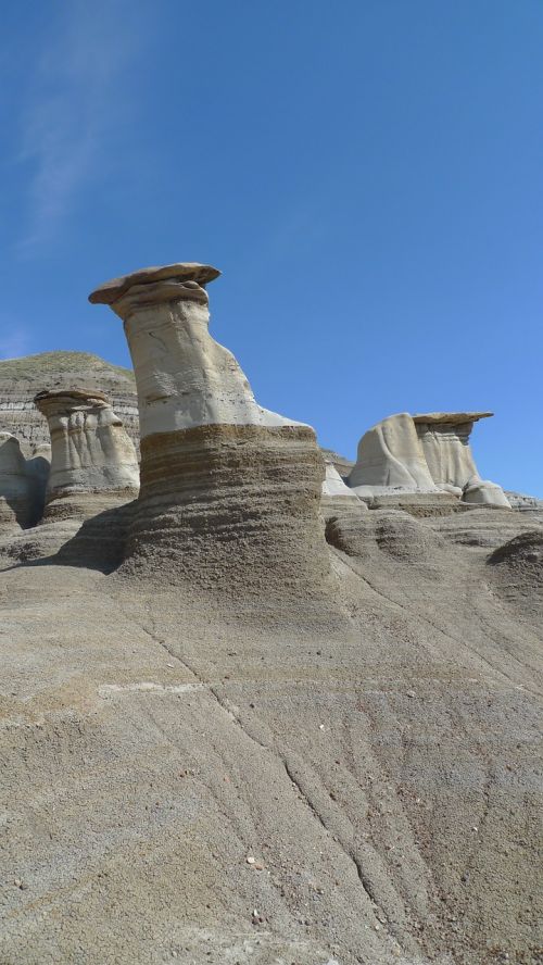 alberta landscape canada