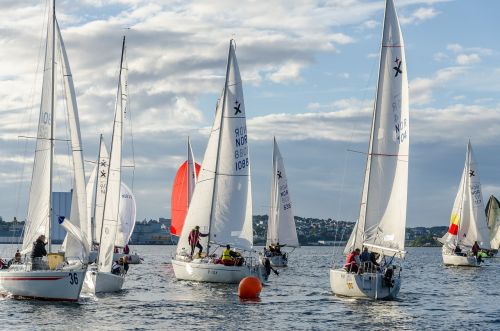 albin express sailboat regatta