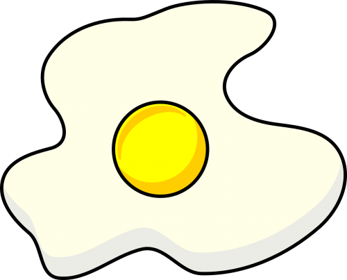 albumen fried egg egg
