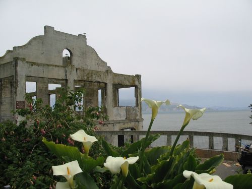 alcatraz island prison