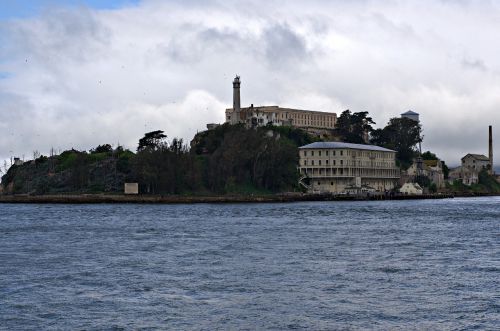 alcatraz bird island