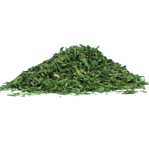 alfalfa leaf nutritious
