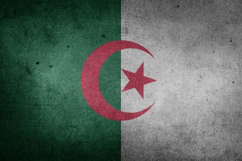 algeria flag africa