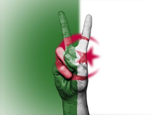 algeria flag peace