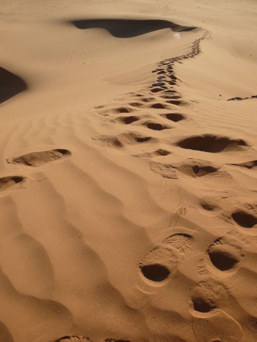 algeria desert traces