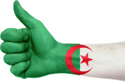 algeria hand flag