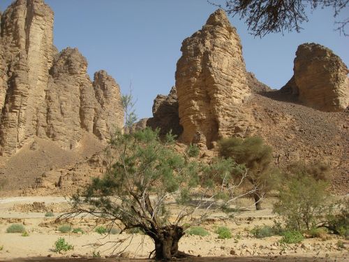 algeria guelta of essendilene desert