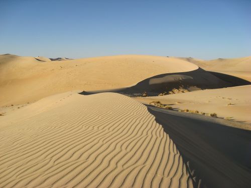 algeria sahara desert