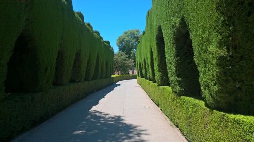 alhambra museum travel