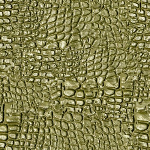 Alligator Skin