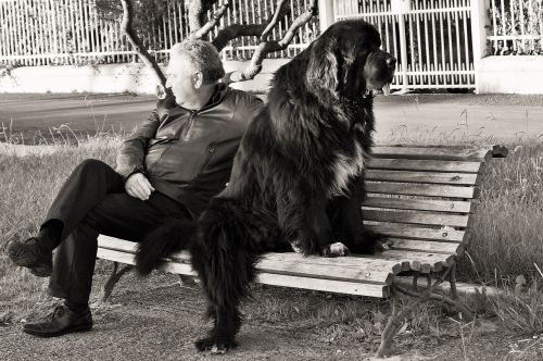 qualities dog man's best friend all the time union