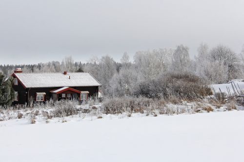 all white cover snow