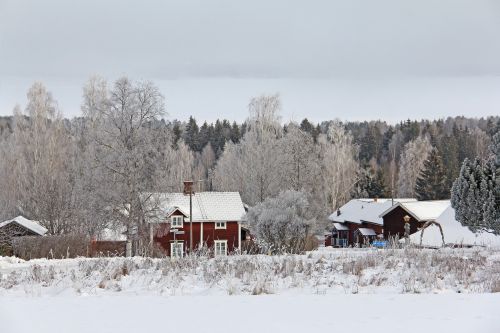 all white cover snow