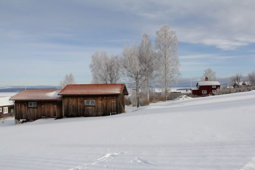 all white cover snow