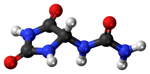 allantoin molecule model