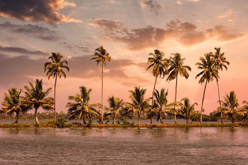 alleppey  kerala  houseboat