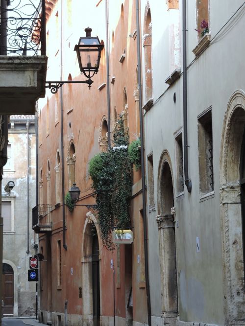 alley verona houses