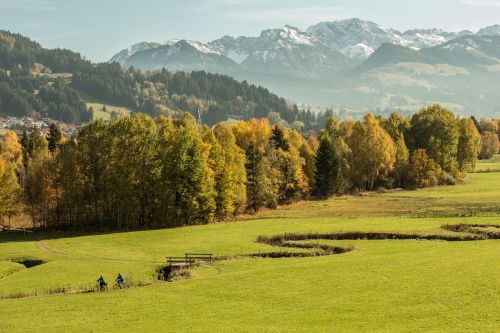 allgäu forest meadow