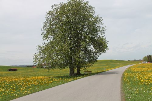 allgäu landscape road