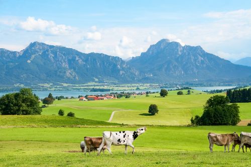 allgäu ostallgäu bavaria