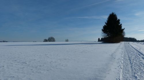 allgäu winter snow