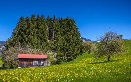 allgäu bavaria nature