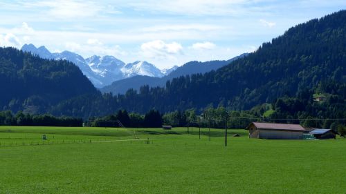 allgäu mountain panorama meadow