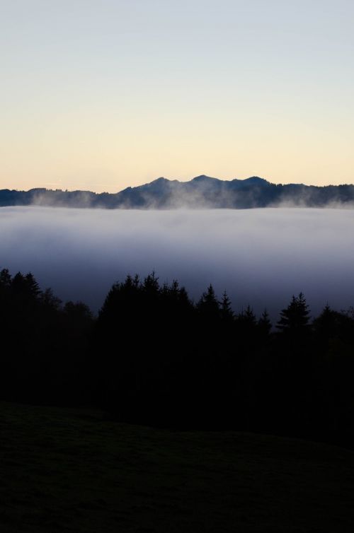 allgäu fog morning