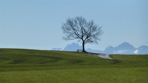 allgäu meadow sun