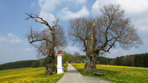 allgäu spring georgi mountain