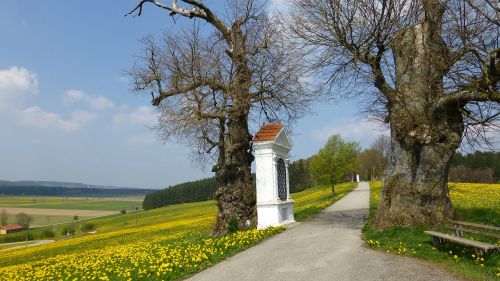 allgäu spring georgi mountain