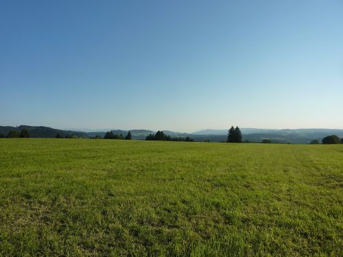 allgäu m farms gestratz