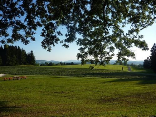 allgäu m farms gestratz