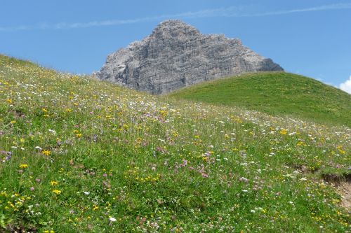 allgäu alpine summit