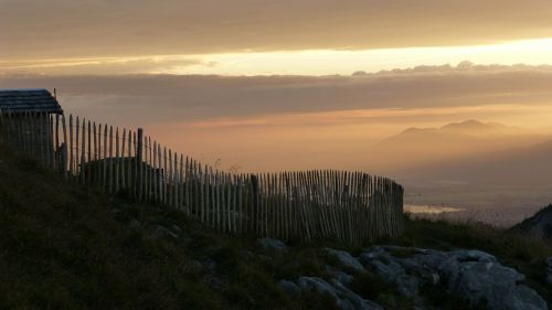 allgäu fence sunrise
