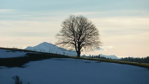 allgäu winter greened