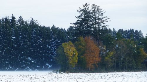 allgäu autumn snow