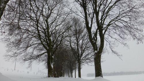 allgäu winter snow