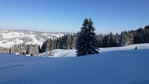 allgäu greened winter