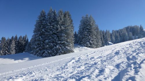 allgäu greened winter