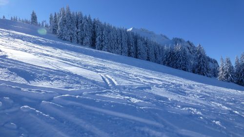 allgäu greened winter