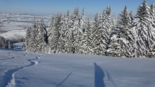 allgäu greened winter