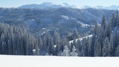 allgäu greened winter