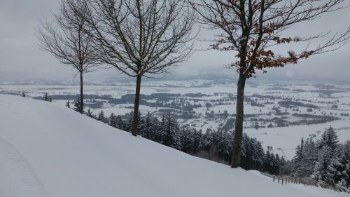 allgäu winter buchenberg